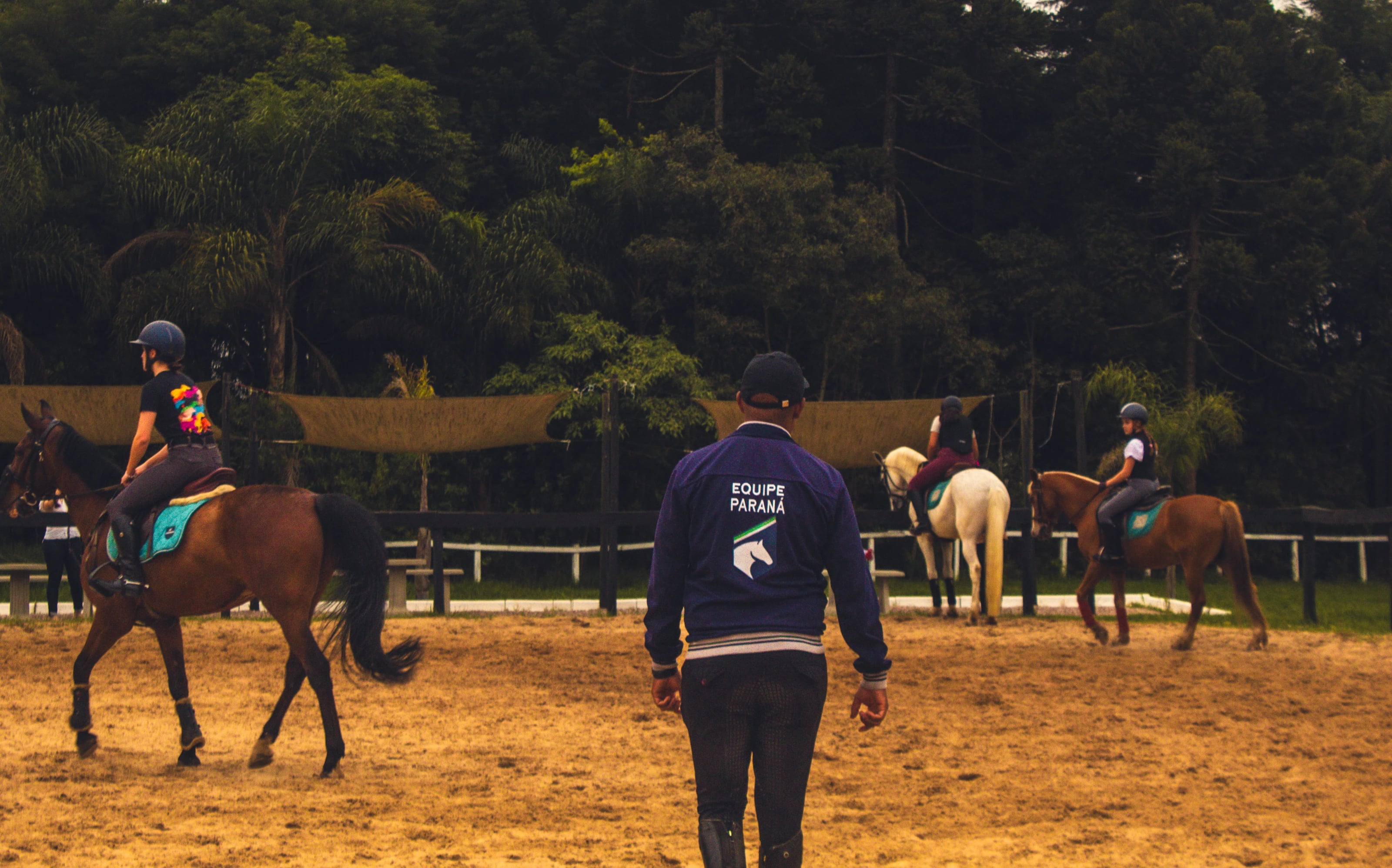 Treino numa pista de hípica em piso de areia cercada por árvores. Em primeiro plano, um homem caminha de costas com casaco azul onde se lê "EQUIPE PARANÁ". Ao fundo, três praticantes com capacetes montam cavalos castanhos e um branco.